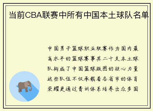 当前CBA联赛中所有中国本土球队名单