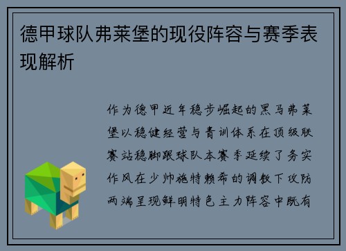 德甲球队弗莱堡的现役阵容与赛季表现解析