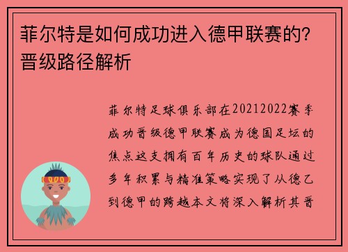 菲尔特是如何成功进入德甲联赛的？晋级路径解析